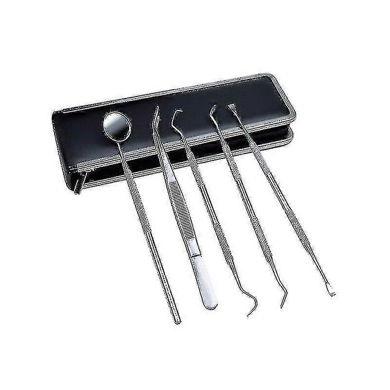 Dental Kit With 6 Dental Instruments