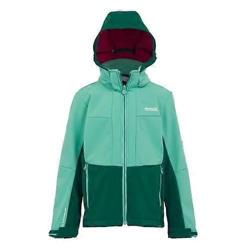 Regatta Childrens/Kids Haydenbury II Soft Shell Jacket