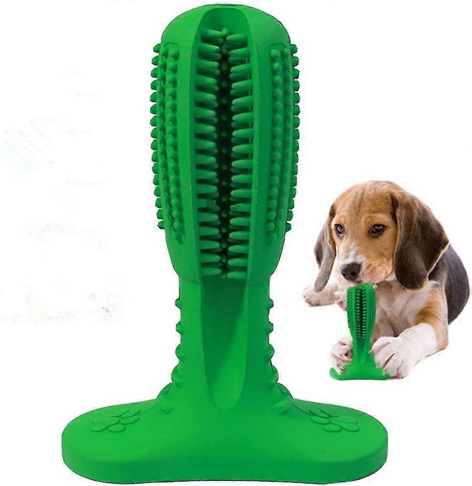 Dog Chewing for Dogs Teeth Cleaning