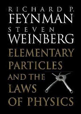 Elementary Particles and the Laws of Physics
