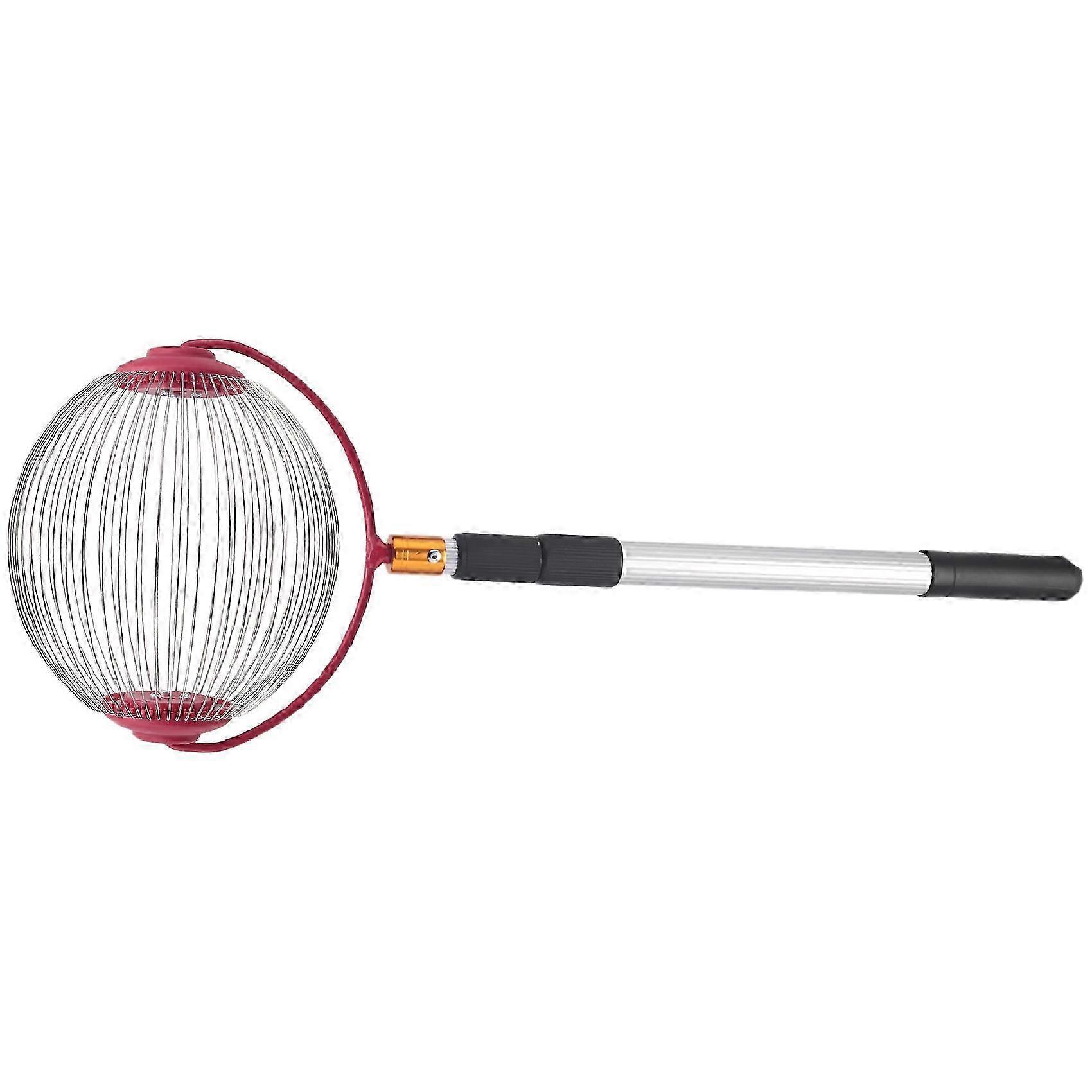 Rolling Nut Ball Picker in acciaio inossidabile regolabile dado raccoglitore regolabile Raccogli noci mele