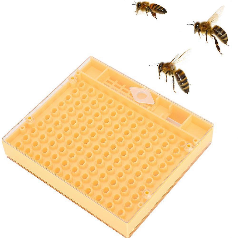 Plastic Bee King Incubator Free Move Harmless Breeding Box Beekeeper Beekeeping