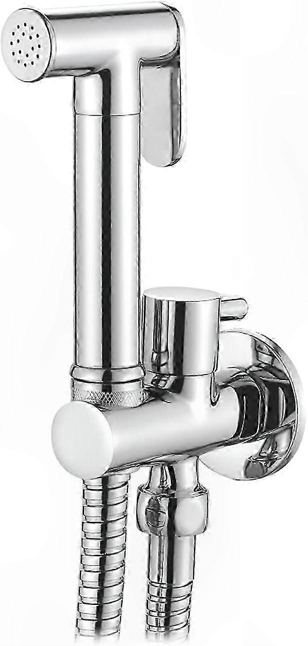 Chrome Silver Handheld Shower Kit with Hose and Holder for Recessed Toilet Installation