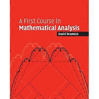 Primeiro Curso de Análise Matemática - David Alexander Brannan