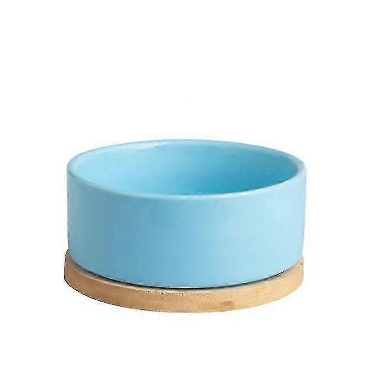 Portable heated water bowl for dogs with constant temperature