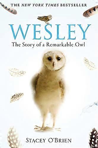 Wesley: Die bemerkenswerte Geschichte einer Eule