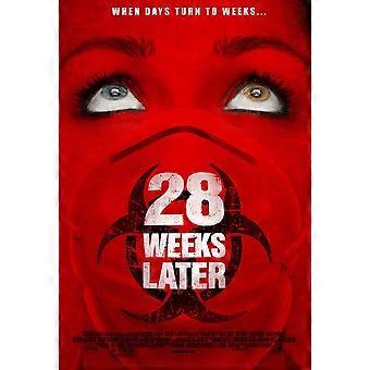 28 Weeks Later Fun and educational puzzles Y679
