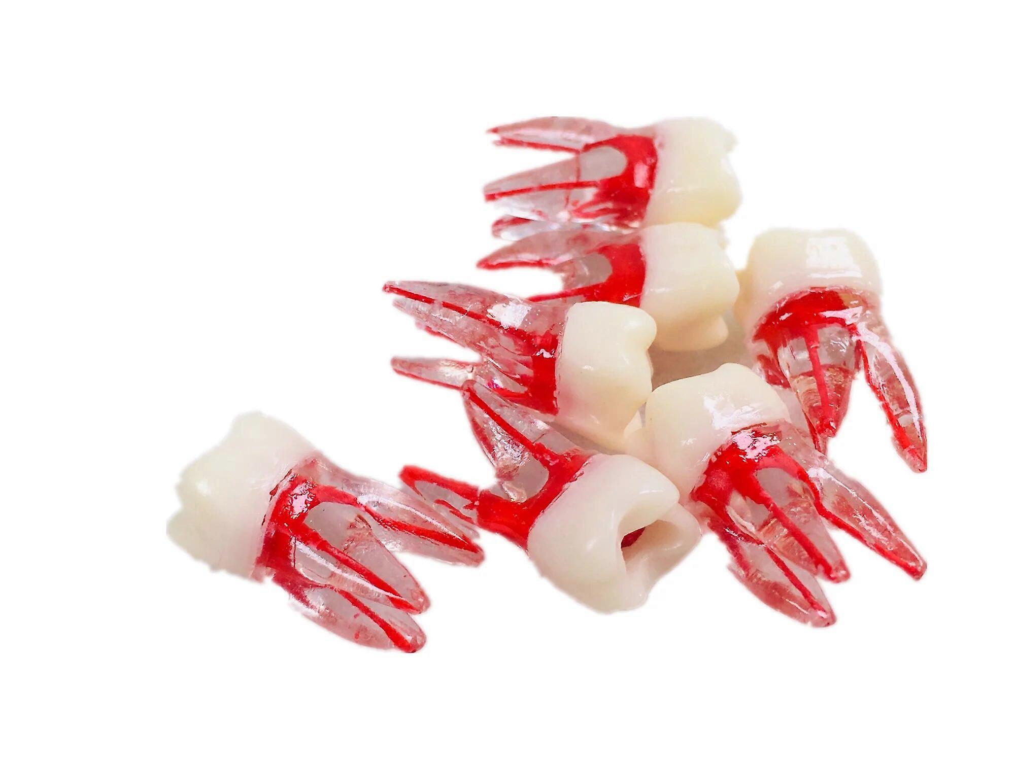10pcs/Lot Dental Tooth Endo Root Canal Study Model For RCT Practice Block Pulp Cavity