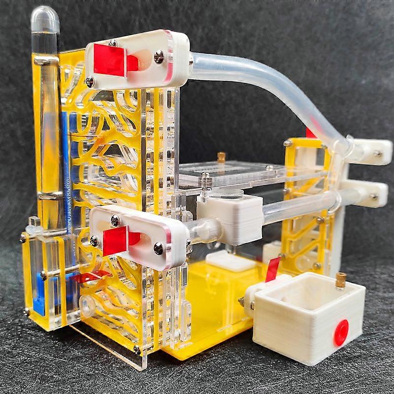 مساحة كبيرة عش النمل الحي النمل الحي موطن الزينة استوديو الحشرات قفص الأليفة فيلا مدينة الاكريليك مدينة 3D-B1 النمل حلم ورشة عمل علم الأحياء اللعب