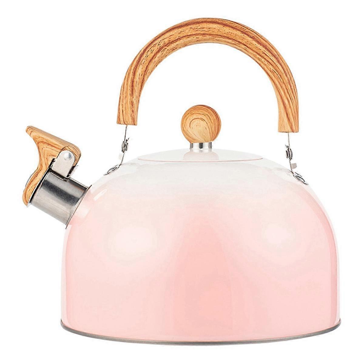 Whistle Teapot, Stainless Steel Teapot, Fast Boiling, Cool Handle, Ideal Choice for All Stoves-Pink