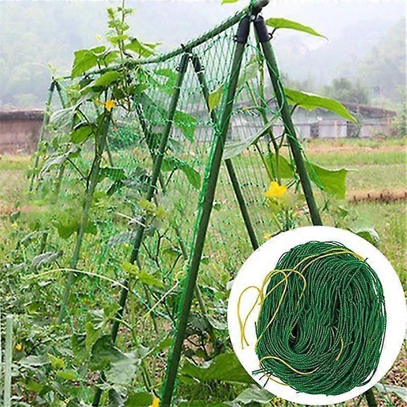 4 Sizes 27 Strands of Horticultural Plant Climbing Vine Net Ipomoea Nil Climbing Flowers Climbing Rattan Ropes For Plants