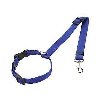 Pet Dog Seat Belt, Rear Seat Traction Rope Portable Safety Harness for Travel