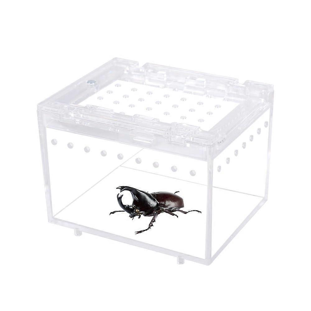 Reptile Terrarium Box, Transparent Spider Feeding Box, 10x8x7cm, Insect Food Box with Magnetic Closure