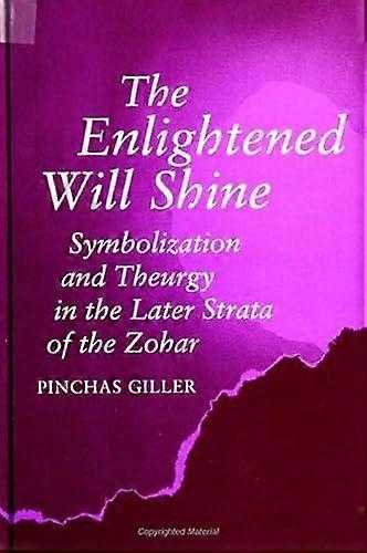 The Enlightened Will Shine by Pinchas Giller Paperback