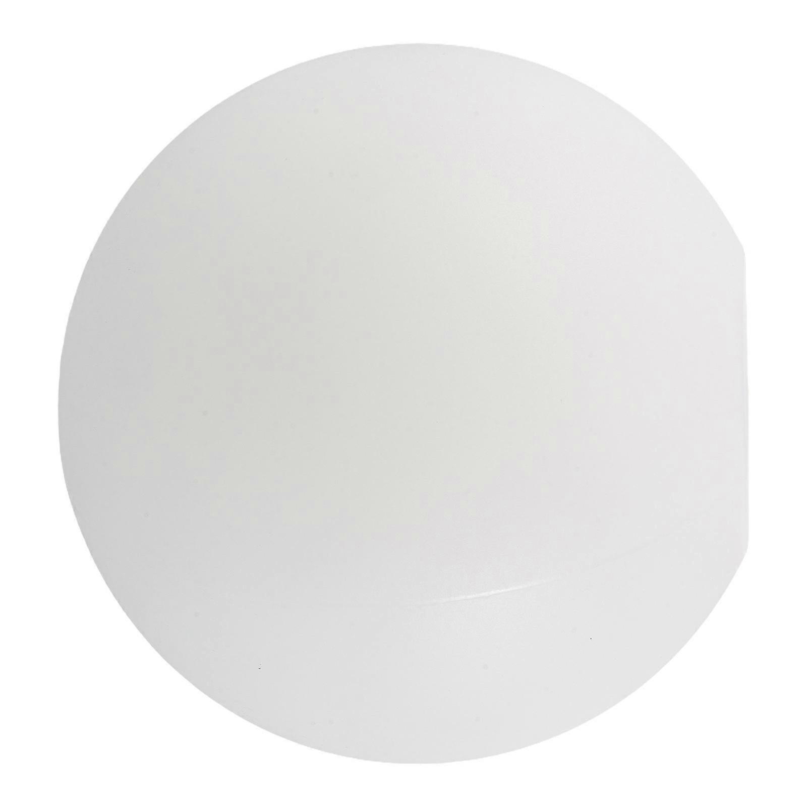 White Frosted Lamp Shade Globe Light Cover Ceiling Use