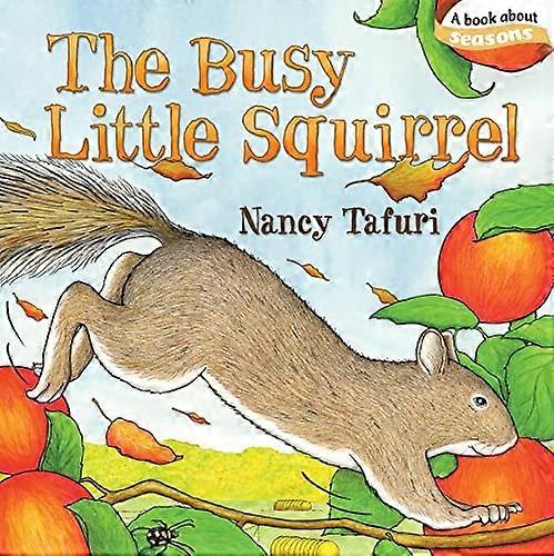 Das geschäftige kleine Eichhörnchen