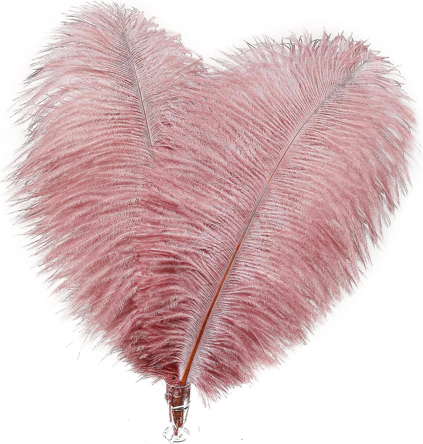 100pcs Red Bean Paste Ostrich Feather Wedding Decoration Home Party Diy  Accessories Accessories | Fruugo US, image size:1429x1500