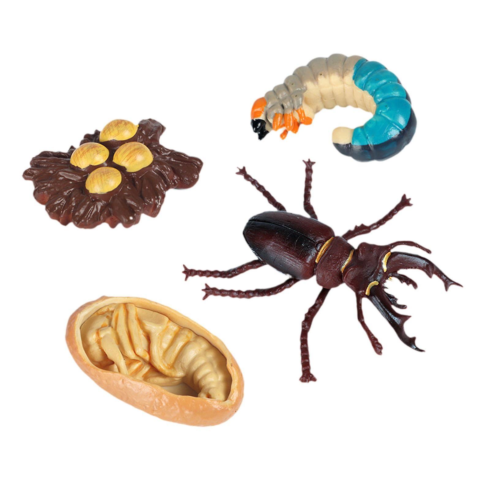 ver modèle animal ver éducatif jouet pour l’activité table de sable style préscolaire a