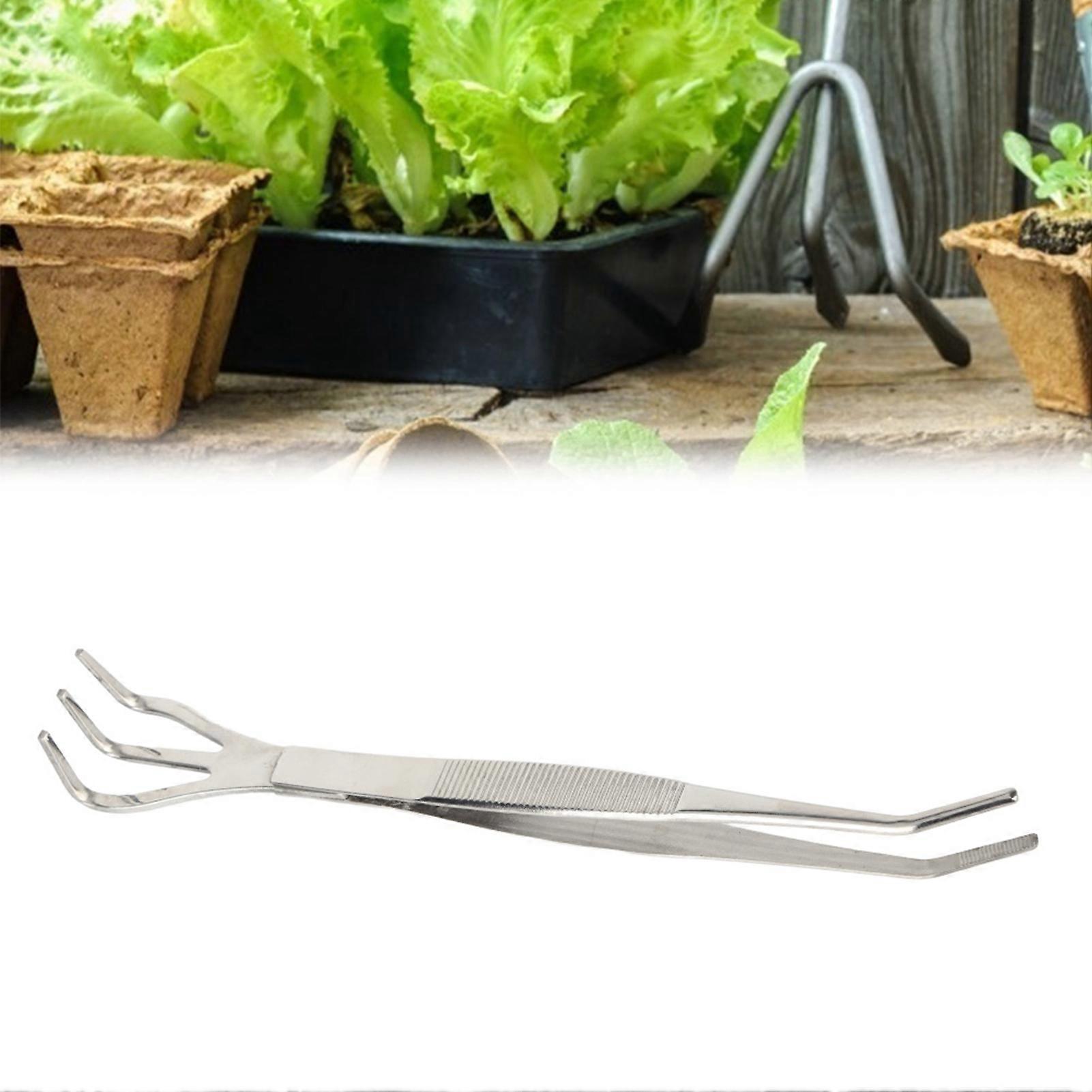 2 in 1 Gardening Rake, Stainless Steel Bonsai and Gardening Tool Root Rake and Tweezers Farming Tools for Bonsai Planter