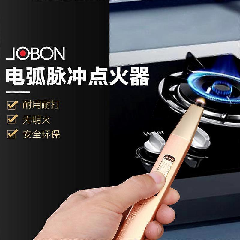 Usb Charging Lighter High-Grade Metal Windproof Arc Pulse Kitchen Igniter Electric Torch