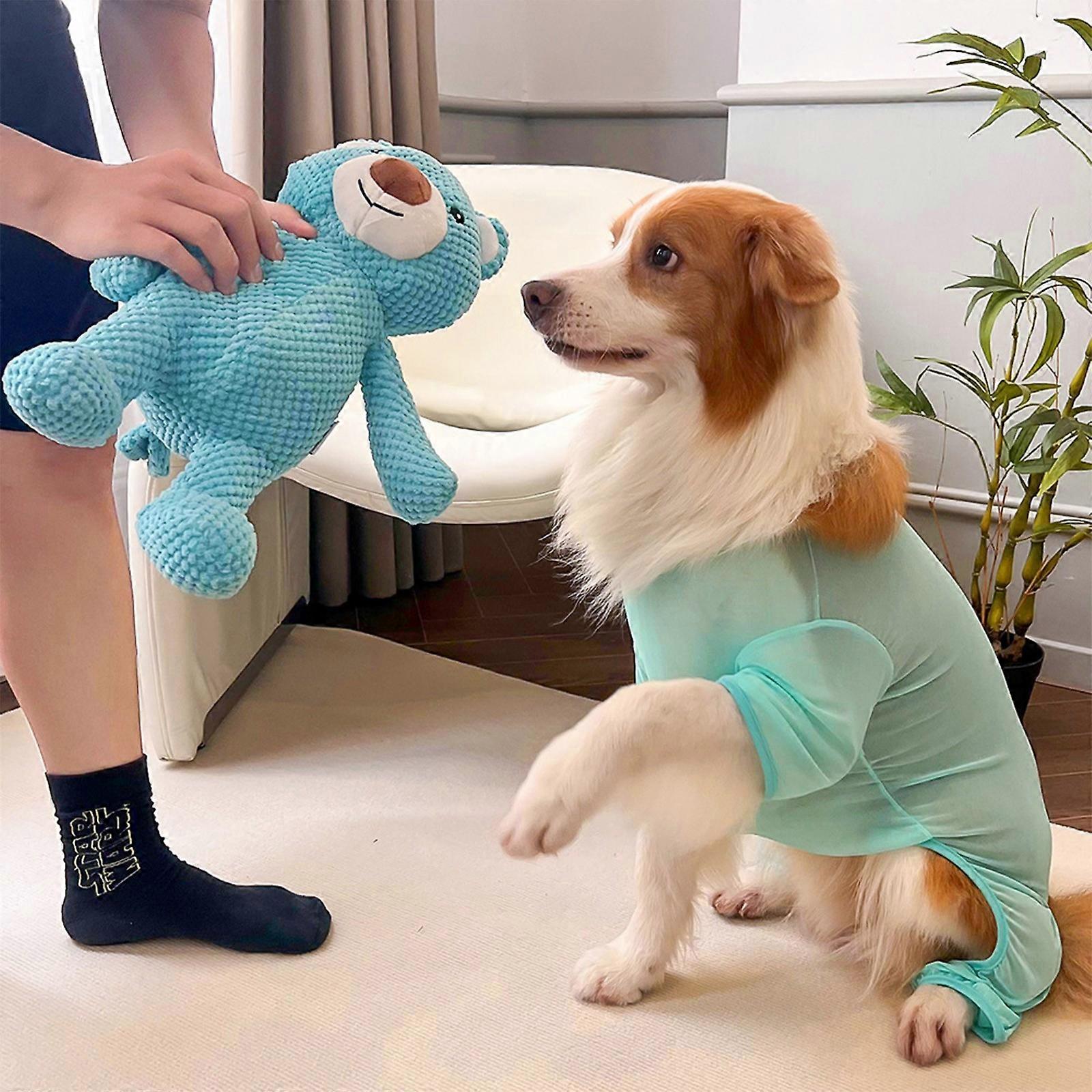 Interactive Pet Chew Toy For Your Dogs And Cats Encourages Play And Oral Care With Robust Design Suitable For Indoor Use