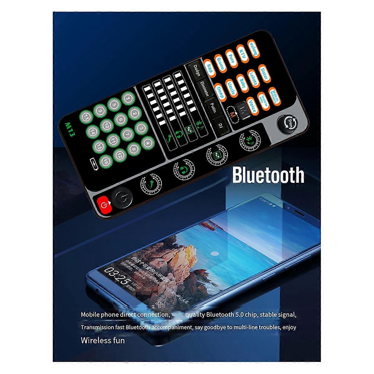 New M13 Voice Changer,Live Voice Card Voice Changer, Handheld Microphone Voice Changer with BT 3.5m