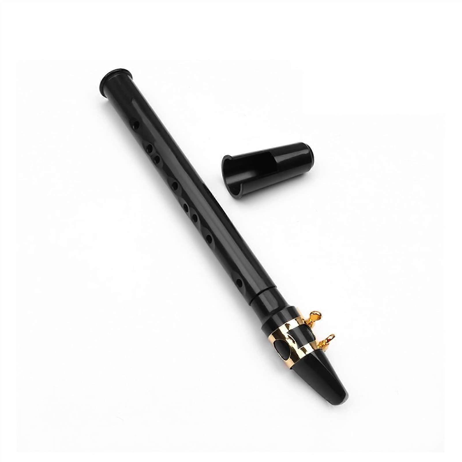 Black Mini Pocket Saxophone Portable Plastic Woodwind Instrument with Black Carrying Bag for Beginners