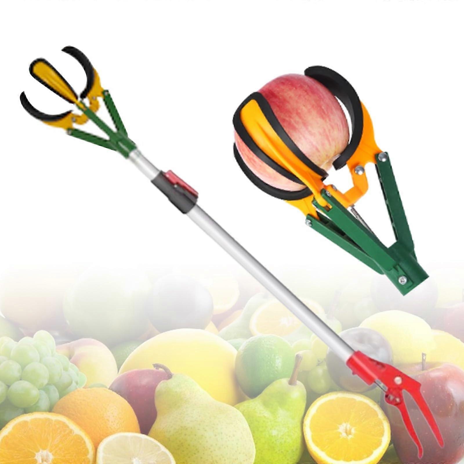 Apple Harvester With Telescopic Handle, Adjustable Fruit Picker for Pears and Oranges, Effortless Harvest