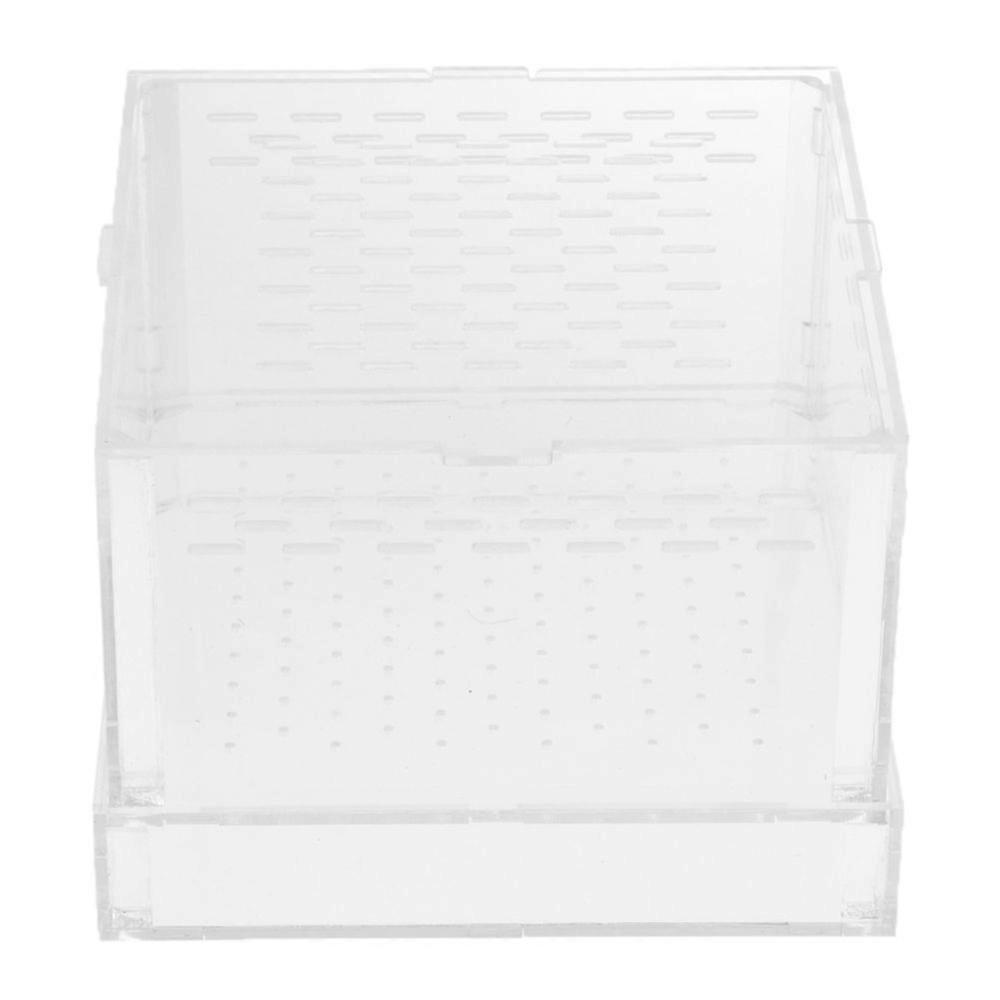 Reptile plastic vivarium snake tortoise