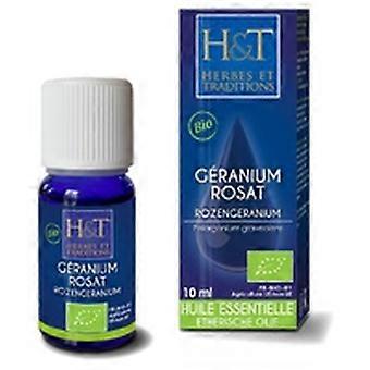 Organic Rose Geranium Essential Oil (Pelargonium graveolens) 10 ml of essential oil