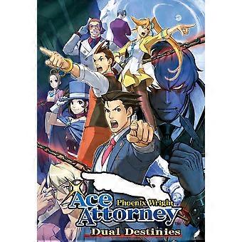 Phoenix Wrighcttorney Dual Destinies Puzzles TD736