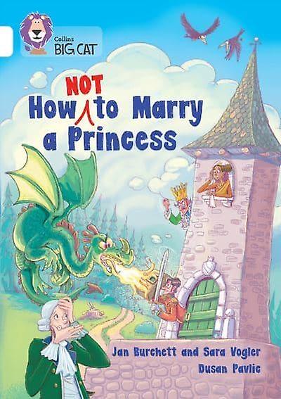 How Not To Marry A Princess by Sara Vogler Paperback