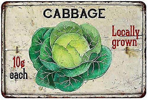 Φρέσκο λάχανο Vintage Look Chic Distress 8x12 ίντσα Ή 12x16 ίντσα High Gloss Metal Mode 3196