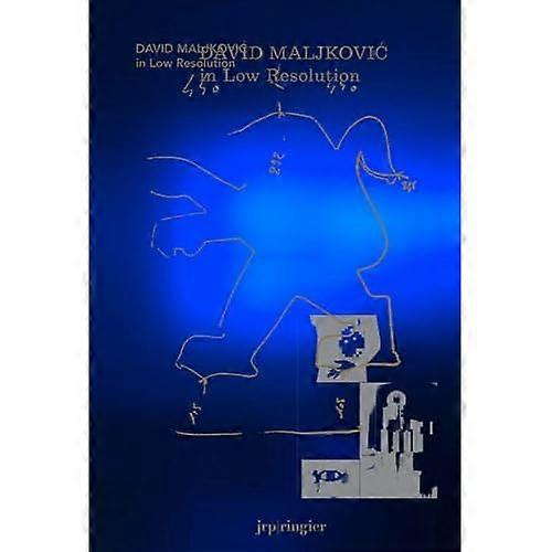 David Maljkovic : en basse résolution