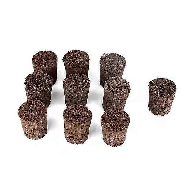 Sort bomuldsjord trækul bomuldsblomster jordfri saftig jordlignende svamp blomst grøntsagsplante skæring plantningsmodul matrix