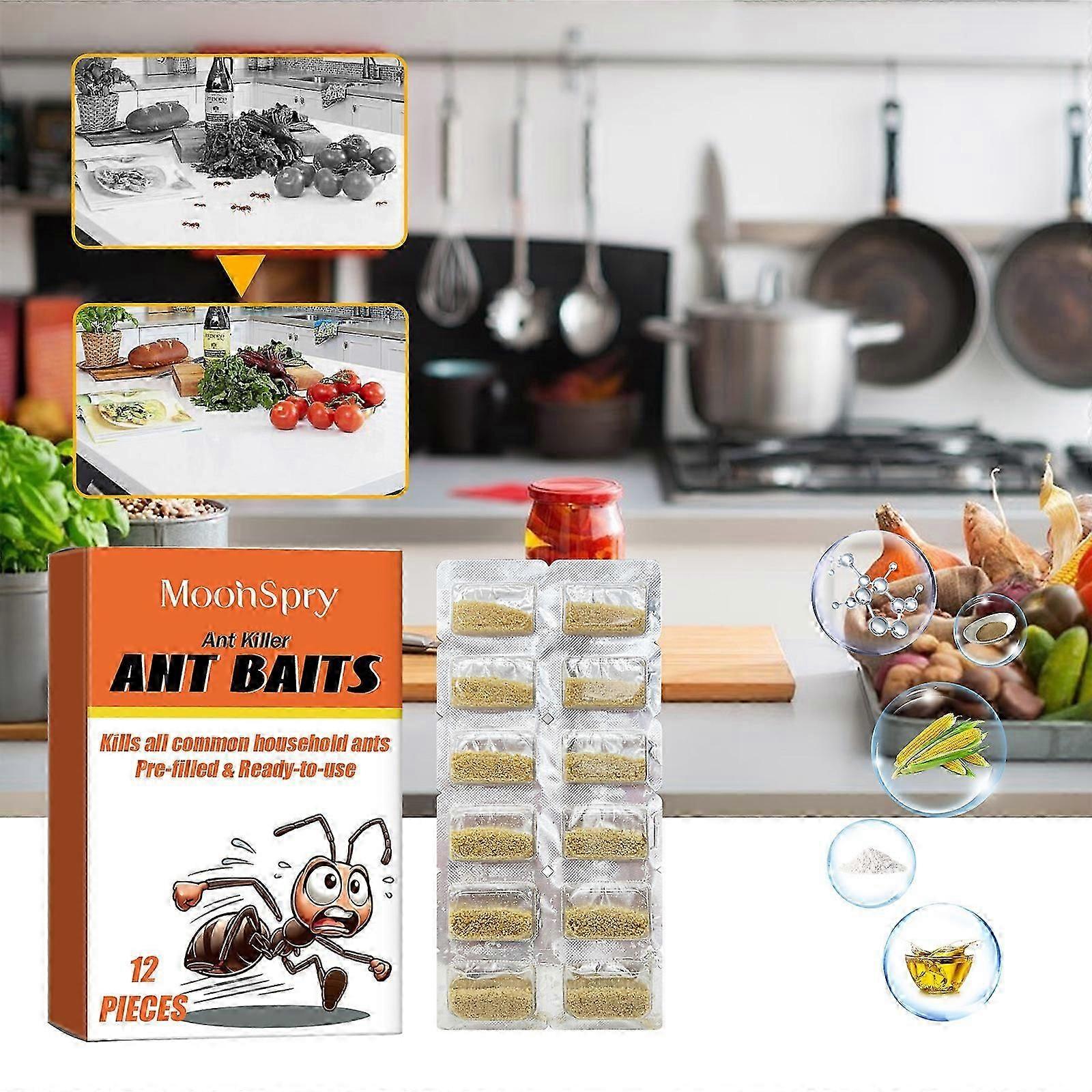 ExquisiteIndoor Multi-Surface mierenaas en mierendoder doodt gewone huismieren