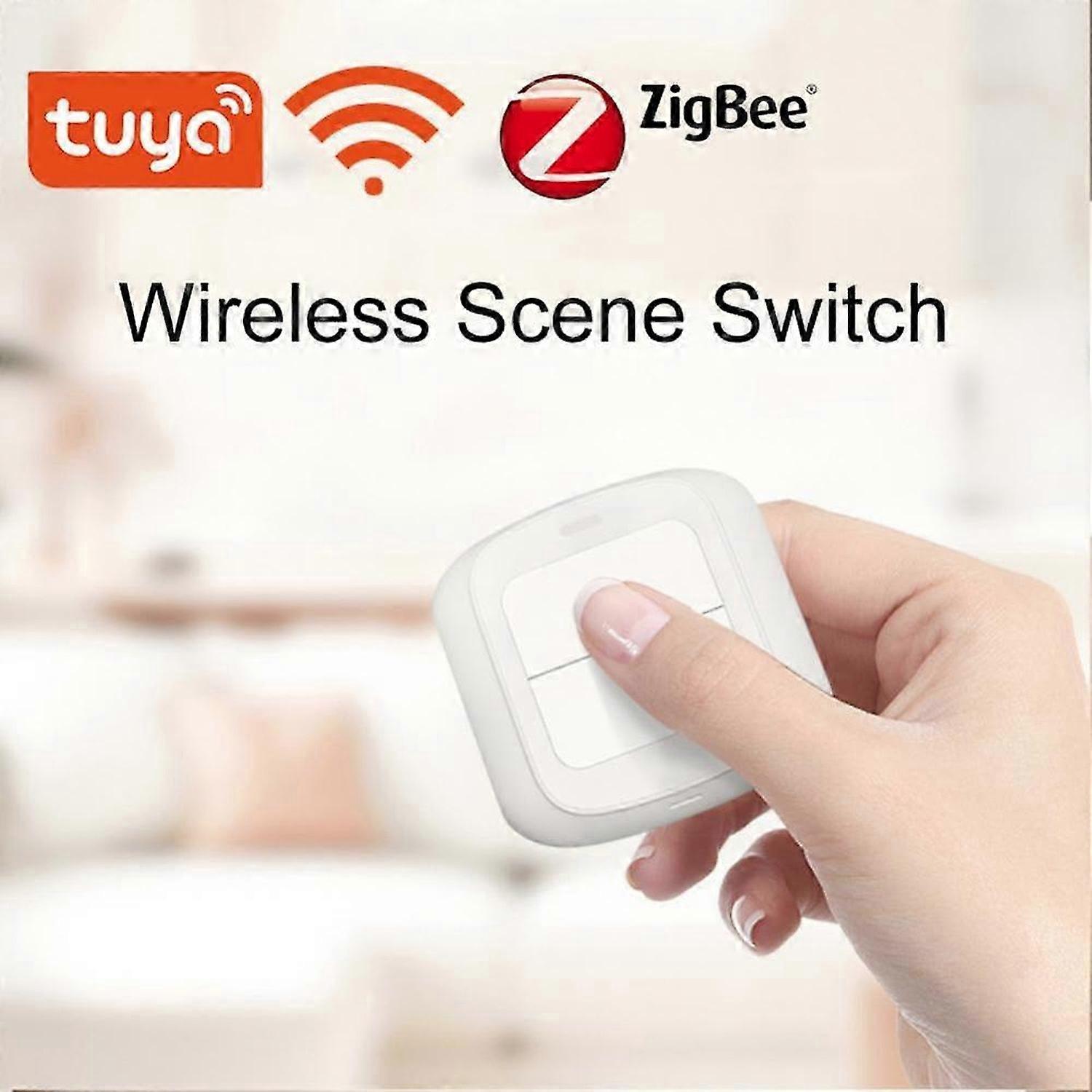 Wifi Zigbee Smart Switches 2 Gang 6 Scene Switch Tuya For Tuya Devices