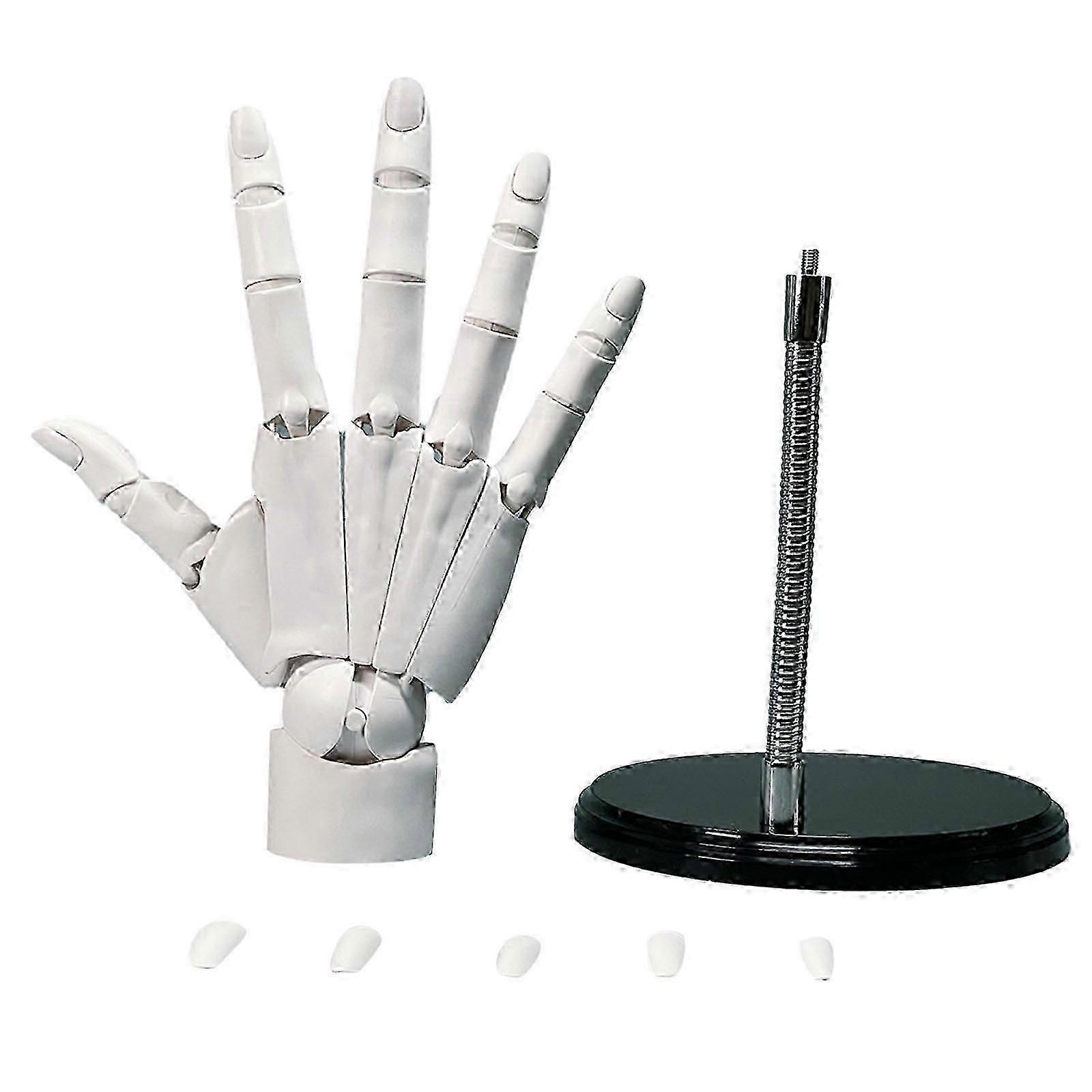 1:1 Flexible Right Hand Model, Joints Moveable Artists Manikin Hand Figure for