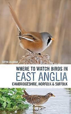 Where to Watch Birds in East Anglia