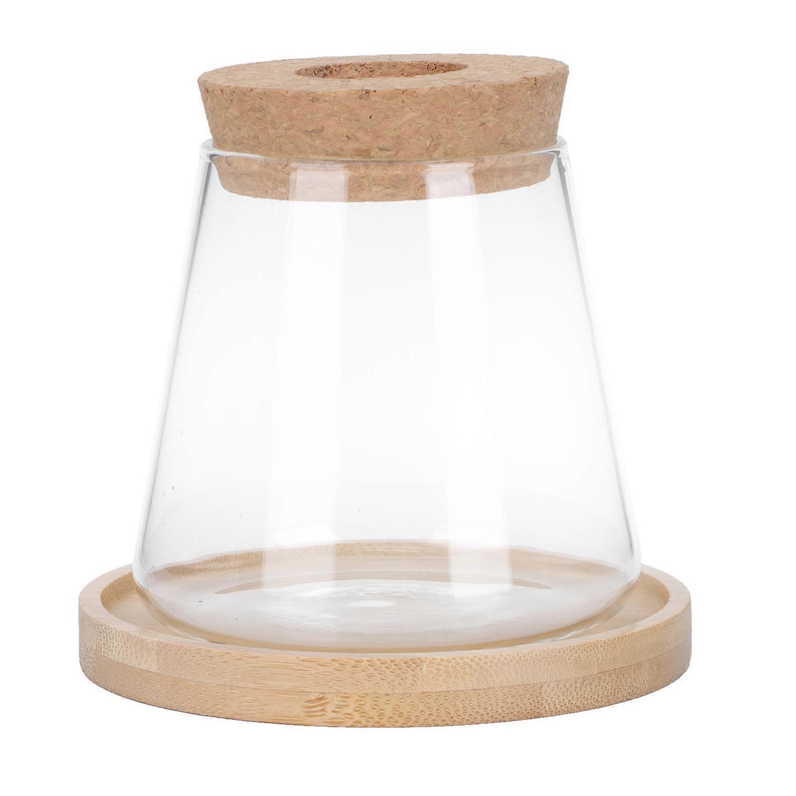 Glass Planter Hydroponic Vessel for Office Use 2Sets Included