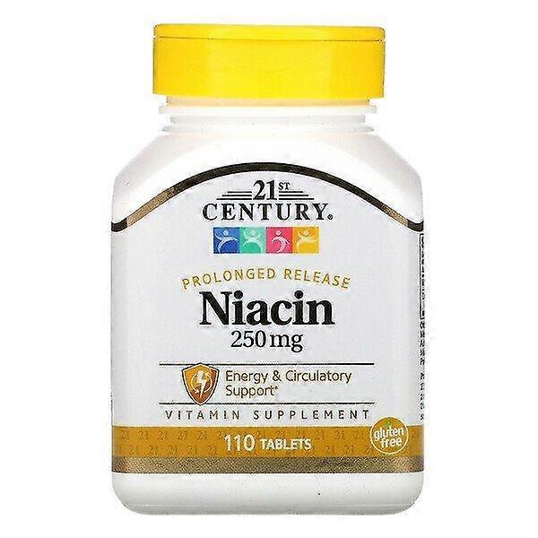 21st Century, Prolonged Release Niacin, 250 mg, 110 Tablets