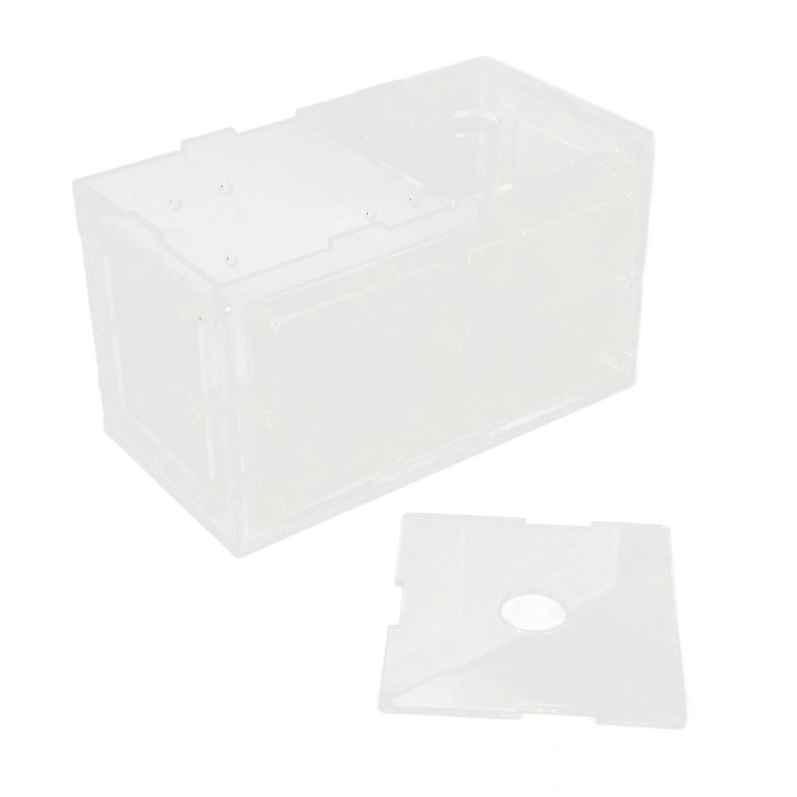 Fish Breeding Isolation Box 17x9x10cm Acrylic Mesh Incubator
