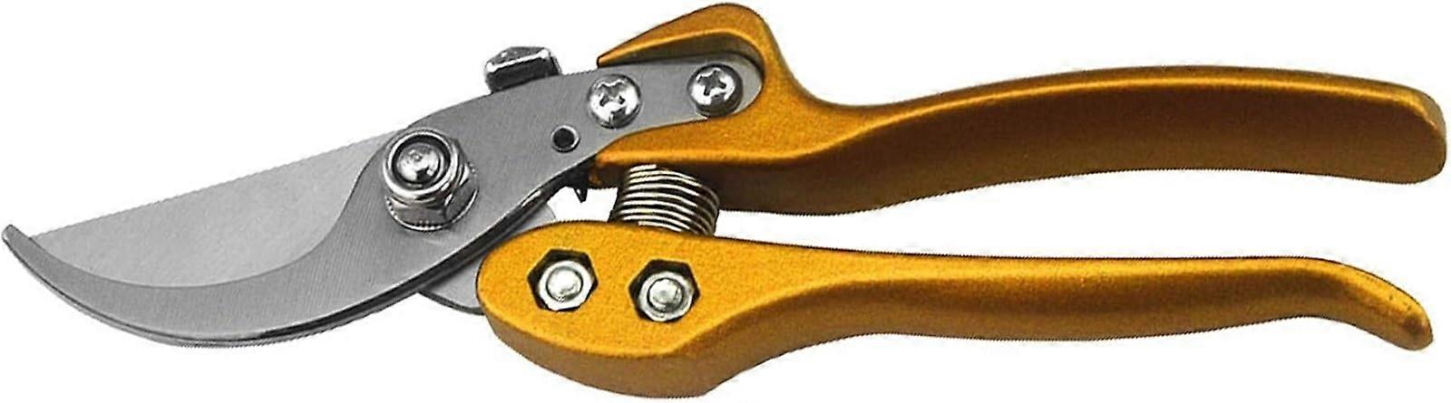 Professional Pruning Shears with Sharp Precision Blades for Garden Plants and Flowers, One Color