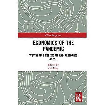 Economics of the Pandemic (China Perspectives)
