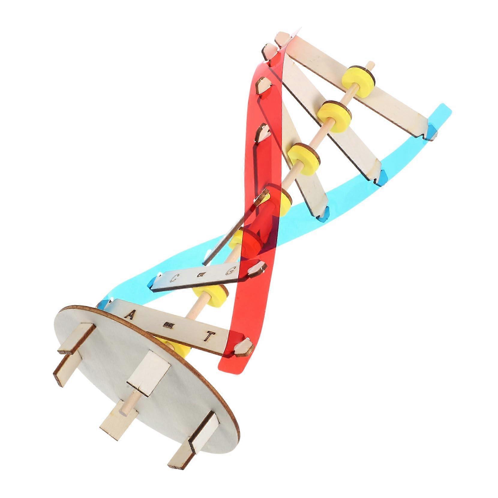 DNA Model Kit for Students DIY Double Helix Structure Educational Science Model STEM Classroom Aid