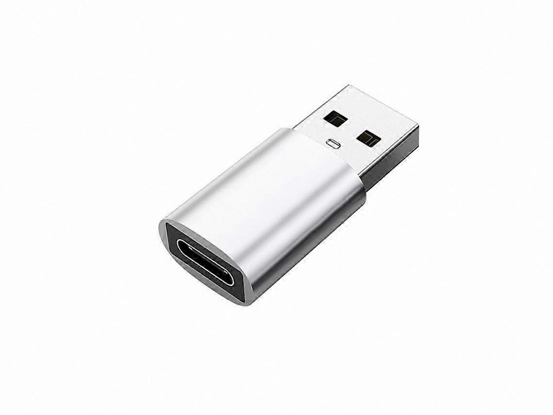 Silver USB to USB-C Adapter INF