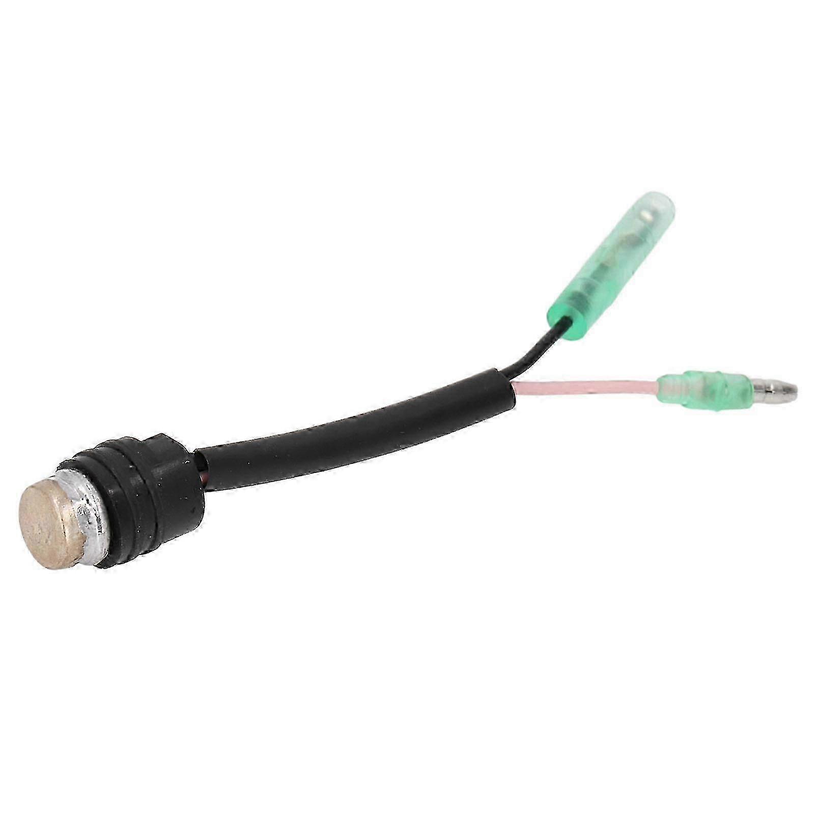 40HP 2-Stroke Marine Thermo Switch