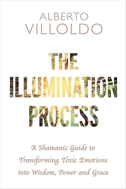 The Illumination Process by Alberto Villoldo Paperback