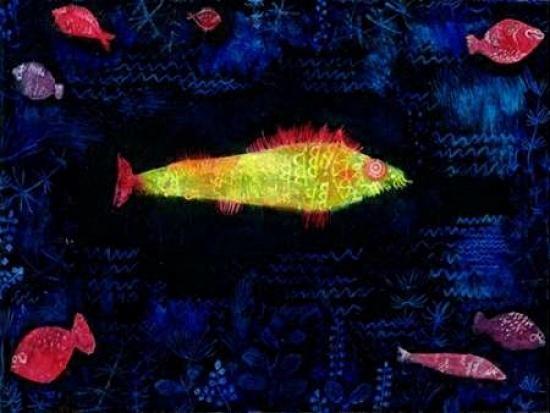 The Goldfish Poster