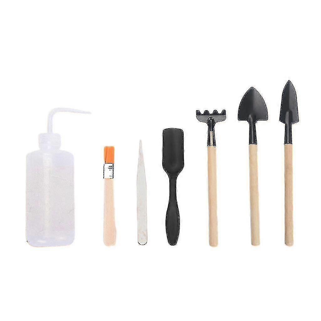 Transp Tools Set Succulent Care Kit For Succulent Ening